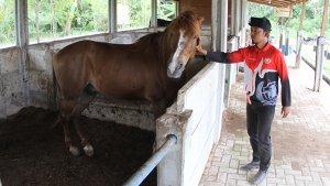 Agrowisata-DuRanch-pekanbaru-1.jpg