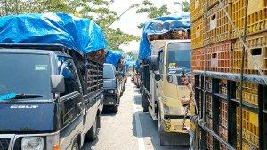 Angkutan-Barang-Padati-Pelabuhan-RoRo-Bengkalis.jpg