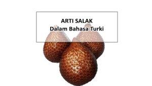 Apa-Arti-Salak-Dalam-Bahasa-Turki-Jangan-Sembarangan-Sebut-Kata-Salak-di-Turki.jpg