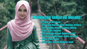 Arti-Kata-Bujang-atau-Bujang-Artinya-dan-Arti-Bujang-dalam-Bahasa-Batak-serta-Jenis-jenis-Bujang.jpg