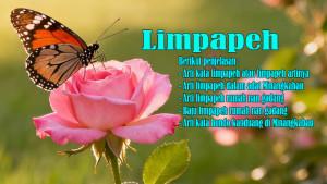 Arti-Kata-Limpapeh-atau-Limpapeh-Artinya-dan-Arti-Limpapeh-Rumah-nan-Gadang-serta-Baju-Limpapeh.jpg