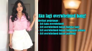 Arti-Kata-Overwhelmed-dan-Arti-Overwhelmed-dalam-Bahasa-Gaul-serta-dalam-Hubungan-serta-Psikologi.jpg