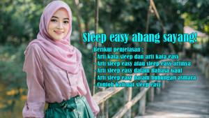 Arti-Kata-Sleep-dan-Easy-serta-Arti-Sleep-Easy-hingga-Arti-Sleep-Easy-dalam-Bahasa-Gaul-dan-Hubungan.jpg