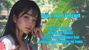 Arti-User-Not-Found-di-Website-dan-Aplikasi-serta-Bahasa-Gaul-Tindakan-Atas-Pesan-User-Not-Found.jpg