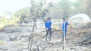 BPBD-Pekanbaru-padamkan-api-karhutla-di-Palas.jpg