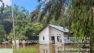 Banjir_Desa_Lubuk_Kembang_Bunga__20102025.jpg
