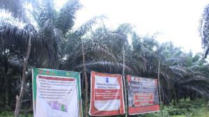 Banner-tanda-penertiban-kawasan-oleh-Satgas-PKH.jpg