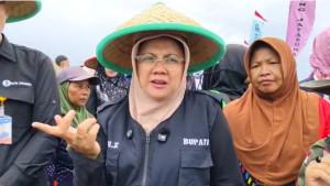 Bupati-Siak-Afni-di-persawahan.jpg