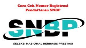 Cek-Nomor-Registrasi-Pendaftaran-SNBP.jpg