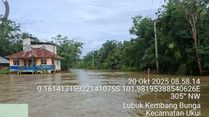 Debit-Air-Turun-15-Cm-Hari-Kedua-Banjir-Landa-Desa-Bukit-Kesuma-Pelalawan.jpg