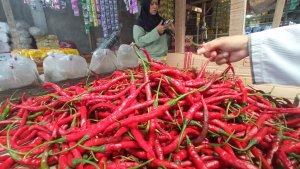FOTO_Harga_Cabai_Merah_di_Pekanbaru_Makin_Pedas_1.jpgFOTO_Harga_Cabai_Merah_di_Pekanbaru_Makin_Pedas_2.jpgFOTO_Harga_Cabai_Merah_di_Pekanbaru_Makin_Pedas_3.jpgFOTO_Harga_Cabai_Merah_di_Pekanbaru_Makin_Pedas_4.jpg