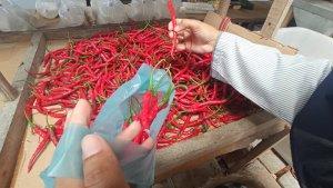 FOTO_Harga_Cabai_Merah_di_Pekanbaru_Makin_Pedas_2.jpg