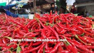 FOTO_Harga_Cabai_Merah_di_Pekanbaru_Terus_Naik_1.jpgFOTO_Harga_Cabai_Merah_di_Pekanbaru_Terus_Naik_2.jpgFOTO_Harga_Cabai_Merah_di_Pekanbaru_Terus_Naik_3.jpg
