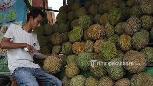 Foto-Pedagang-durian-di-Pekanbaru.jpg