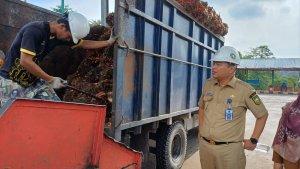 Harga-TBS-kelapa-sawit-mitra-plasma-di-Riau-turun-di-semua-kelompok-umur.jpg