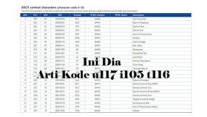 Ini-dia-Arti-Kode-u117-i105-t116-Kombinasi-Bilangan-ASCII.jpg