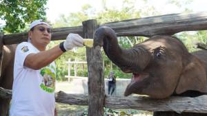 Kapolda-Riau-Irjen-Pol-Herry-Heryawan-saat-berkesempatan-memberi-makan-gajah-Tari.jpg