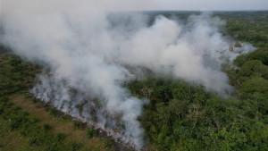 Karhutla_di_kampar_pulau_birandang_kampar_31_juli_2025.jpg