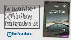 Kunci-Jawaban-BMR-Kelas-9-SMPMTs-Bab-9-Tentang-Pembudidayaan-Apotek-Hidup.jpg