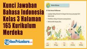 Kunci-Jawaban-Bahasa-Indonesia-Kelas-3-Halaman-165-Kurikulum-Merdeka-Di-Toko-Hewan-Peliharaan.jpg