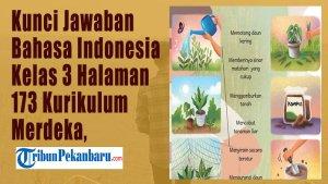 Kunci-Jawaban-Bahasa-Indonesia-Kelas-3-Halaman-173-Kurikulum-Merdeka-Jodohkan-Cara-Merawat-Tanaman.jpg