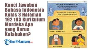 Kunci-Jawaban-Bahasa-Indonesia-Kelas-3-Halaman-192-193-Kurikulum-Merdeka-Apa-yang-Harus-Kulakukan.jpg