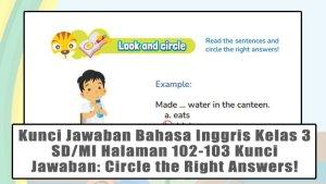 Kunci-Jawaban-Bahasa-Inggris-Kelas-3-SDMI-Halaman-102-103-Kunci-Jawaban-Circle-the-Right-Answers.jpg