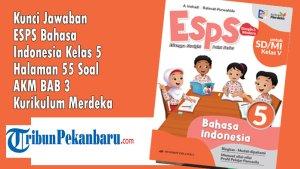 Kunci-Jawaban-ESPS-Bahasa-Indonesia-Kelas-5-Halaman-55-Soal-AKM-BAB-3-Kurikulum-Merdeka.jpg