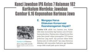 Kunci-Jawaban-IPA-Kelas-7-Halaman-182-Kurikulum-Merdeka-Jawaban-Gambar-616-Kepunahan-Harimau-Jawa.jpg