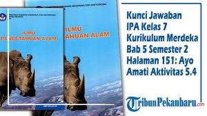 Kunci-Jawaban-IPA-Kelas-7-Kurikulum-Merdeka-Bab-5-Semester-2-Halaman-151-Ayo-Amati-Aktivitas-54.jpg
