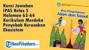 Kunci-Jawaban-IPAS-Kelas-5-Halaman-63-64-Kurikulum-Merdeka-Penyebab-Kerusakan-Ekosistem.jpg