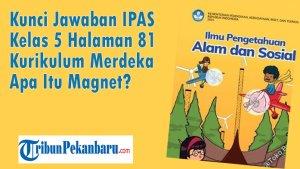 Kunci-Jawaban-IPAS-Kelas-5-Halaman-81-Kurikulum-Merdeka-Apa-Itu-Magnet.jpg