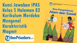 Kunci-Jawaban-IPAS-Kelas-5-Halaman-82-Kurikulum-Merdeka-Mengenal-Karakteristik-Magnet.jpg