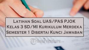 Latihan-Soal-UASPAS-PJOK-Kelas-3-SDMI-Kurikulum-Merdeka-Semester-1-Disertai-Kunci-Jawaban.jpg