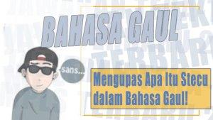 Masih-Ada-yang-Belum-Tau-Artinya-Mengupas-Apa-Itu-Stecu-dalam-Bahasa-Gaul.jpg