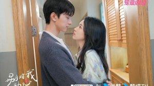 Nonton-Drama-China-Everyone-Loves-Me-Episode-21222324-END.jpg