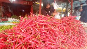 Pedagang_cabai_di_sebuah_pasar_di_Pekanbaru_07102025.jpg