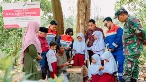 Pertagas-budidaya-lebah-madu-trigona.jpg