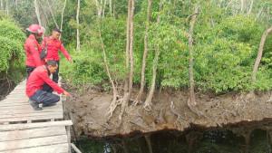 Petugas-Manggala-Agni-di-atas-jembatan-kayu-melihat-permukaan-air-berkurang.jpg