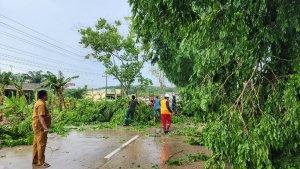 Pohon-tumbang-di-jalan-Soekarno-hatta-kota-Dumai-Riau.jpg