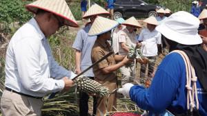 Program-Kemitraan-Agroforestri-RAPP.jpg