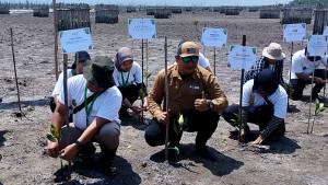 Rehabilitasi-Mangrove-di-Kuala-Selat-M4CR-Berdayakan-Masyarakat-Jaga-Pesisir-dari-Abrasi.jpg
