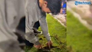 Rumput-stadion-GBLA-dijarah.jpg