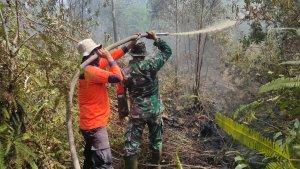 Tim-gabungan-memadamkan-Karhutla-di-Kelurahan-Teluk-Makmur.jpg