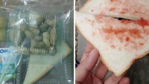 Viral_MBG_di_Banyumas_Roti_dan_Kacang_Rebus_Disdik_Program_Dihentikan_Sementara_untuk_Evaluasi.jpg