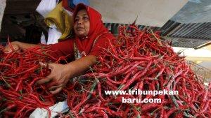 foto_harga_cabai_naik_awal_januari_2020_di_pekanbaru_2.jpg