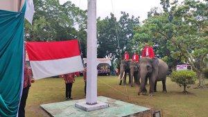 gajah-jadi-petugas-upacara.jpg