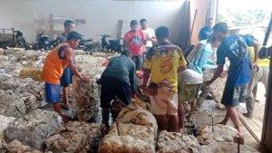 harga-karet-di-Kabupaten-Kuantan-Singingi.jpg