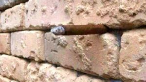 ilusi-optis-rokok-di-antara-batu-bata_20160517_174747.jpg