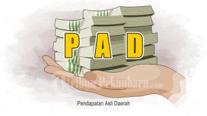 ilustrasi-pad-pendapatan-asli-daerah_20180815_174206.jpg